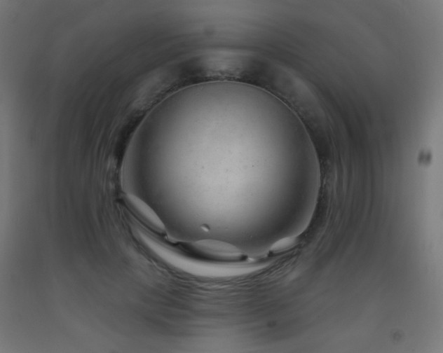 X0000093140649200709261425