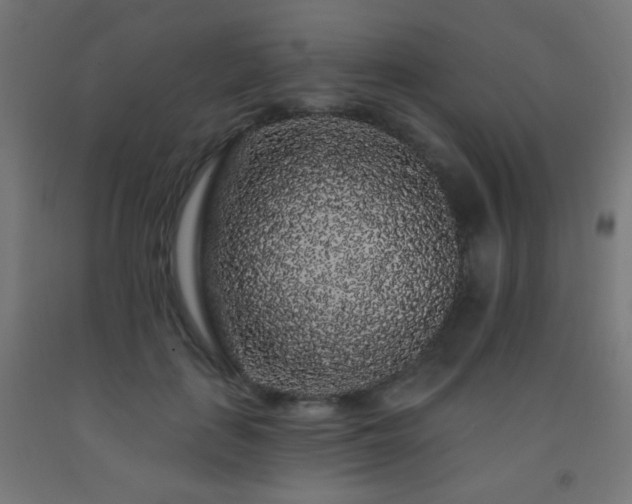 X0000093140651200709261425