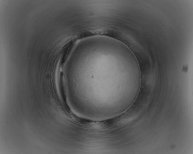 X0000093140652200709261425