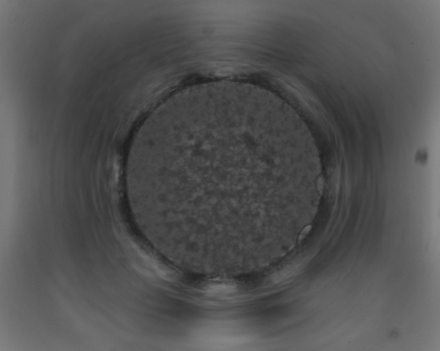 X0000093140653200709261425