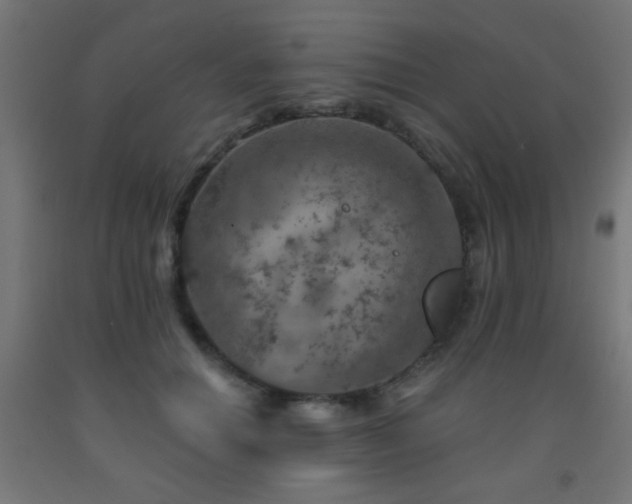 X0000093140654200709261425