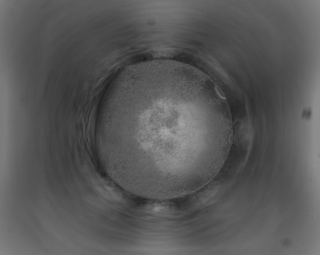 X0000093140655200709261425