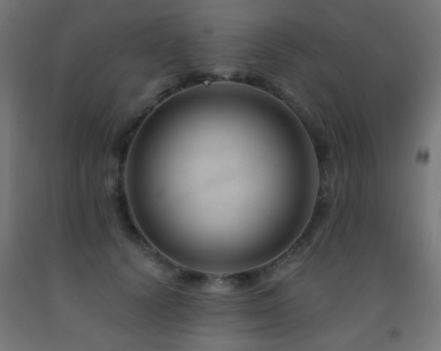 X0000093140656200709261425
