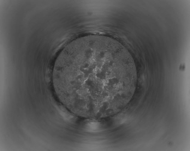 X0000093140658200709261425