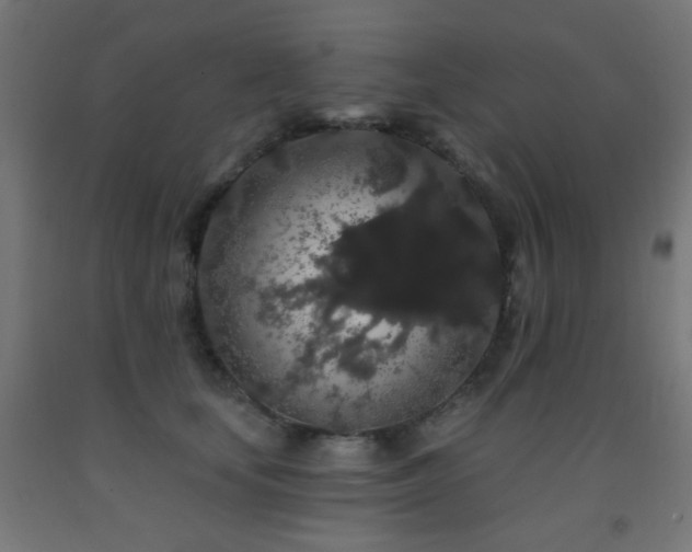 X0000093140659200709261425