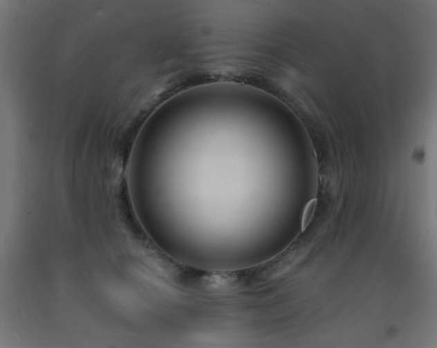 X0000093140660200709261425