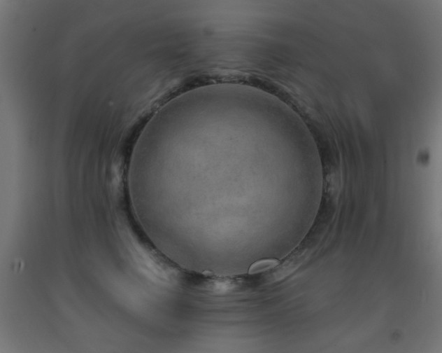 X0000093140662200709261425