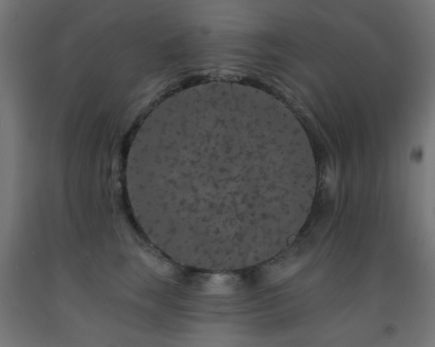 X0000093140663200709261425