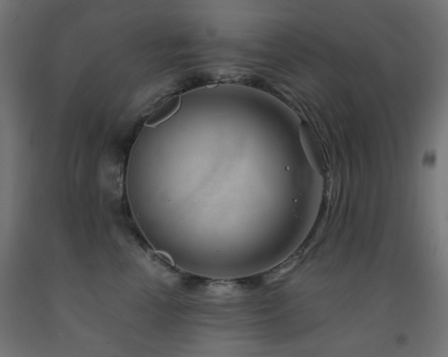 X0000093140666200709261425