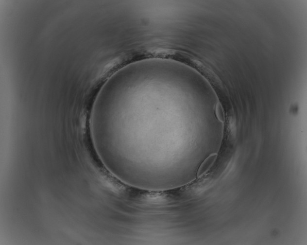 X0000093140668200709261426