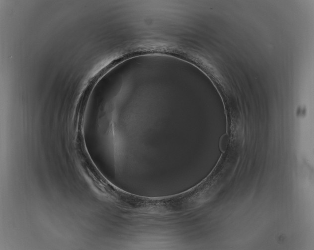 X0000093140674200709261425