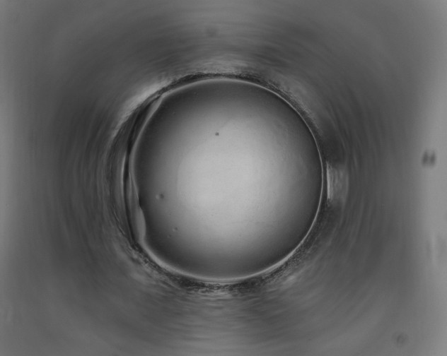 X0000093140675200709261425