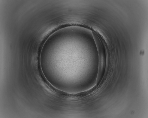 X0000093140677200709261425