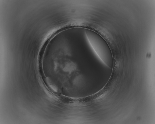 X0000093140678200709261425
