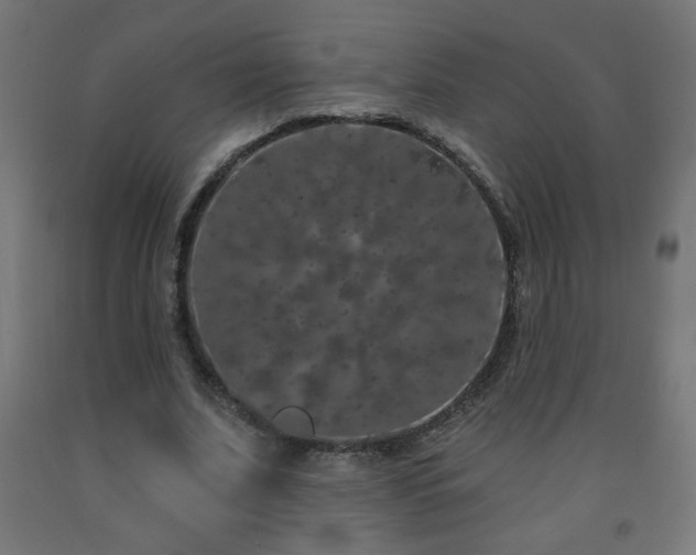 X0000093140679200709261425