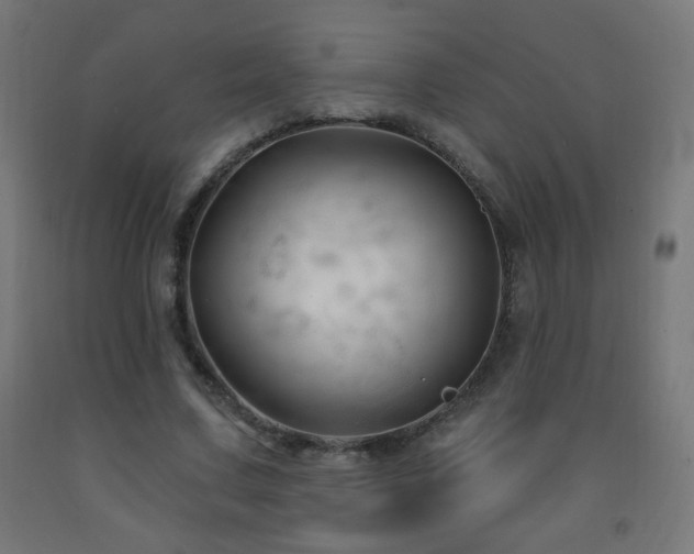 X0000093140683200709261425