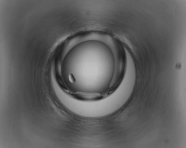 X0000093140684200709261425