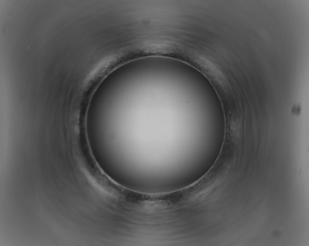 X0000093140686200709261425