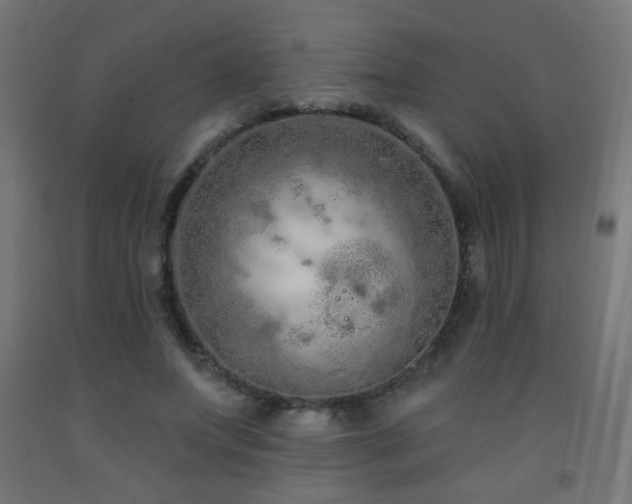 X0000093140687200709261425