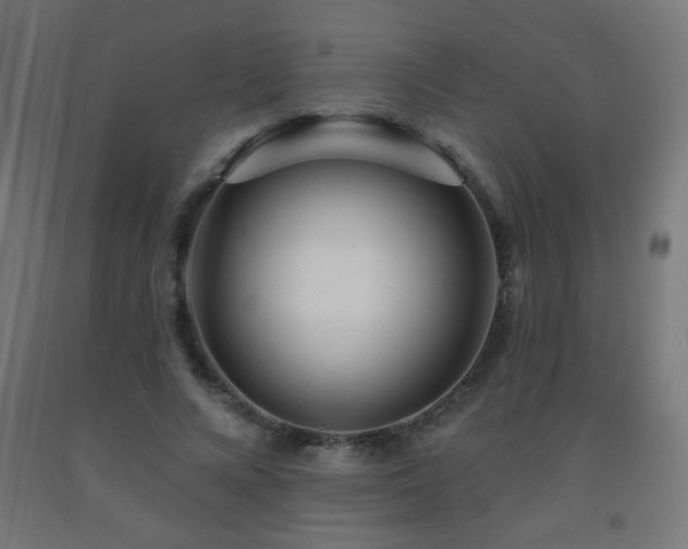 X0000093140688200709261425