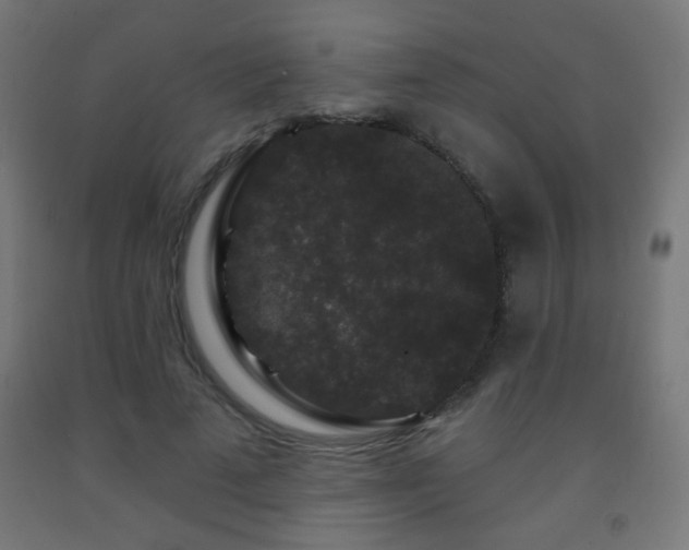 X0000093140689200709261425