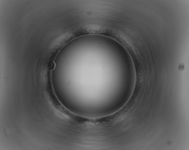 X0000093140690200709261425