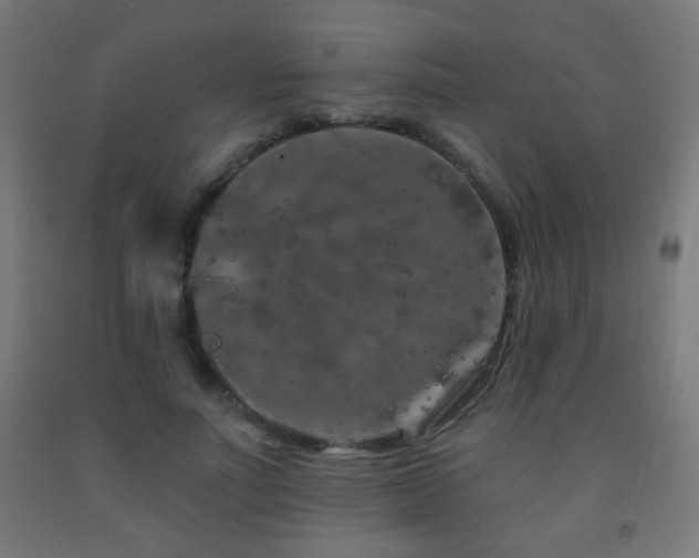 X0000093140691200709261425