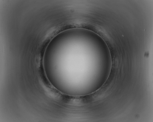 X0000093140694200709261425