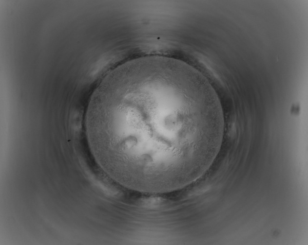 X0000093140695200709261425