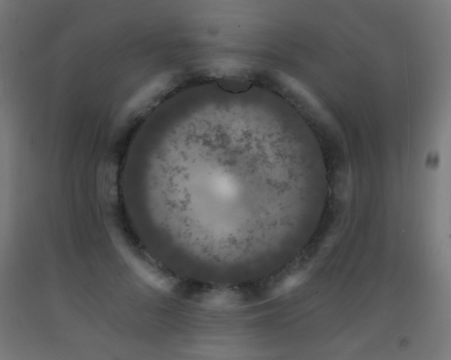 X0000093140696200709261425