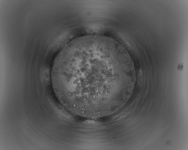 X0000093140699200709261425
