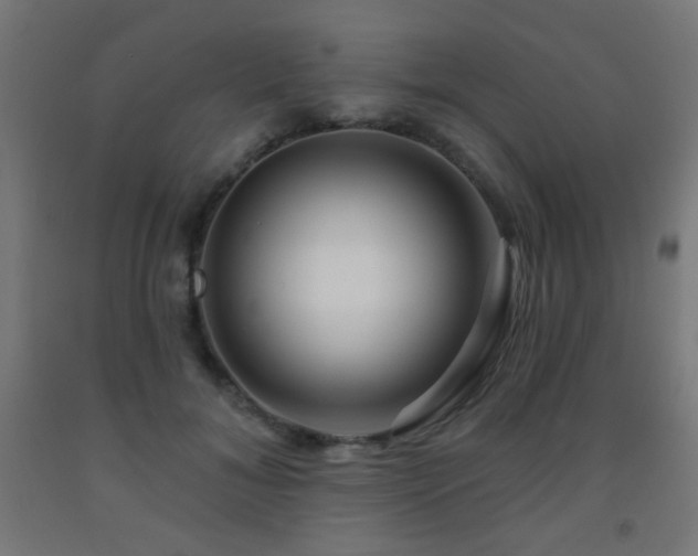 X0000093140700200709261425