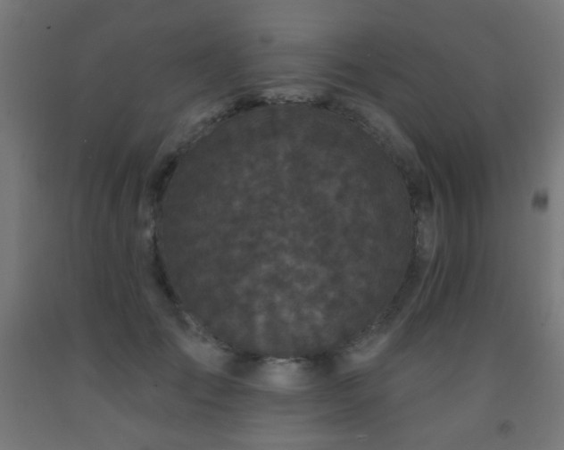 X0000093140701200709261425