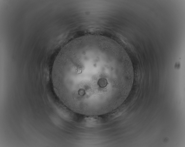 X0000093140703200709261425