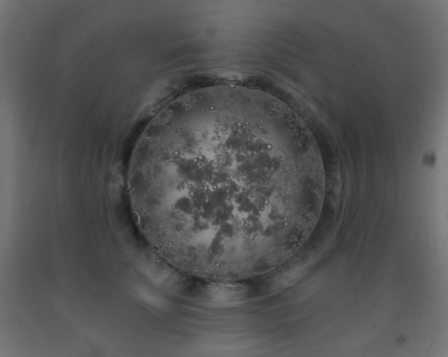 X0000093140707200709261425