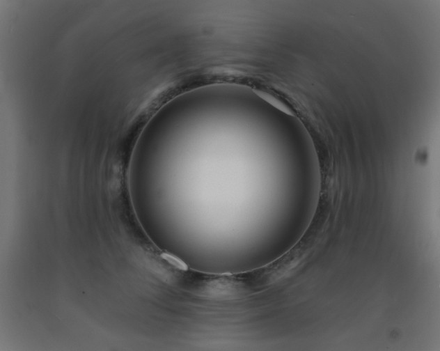 X0000093140708200709261425