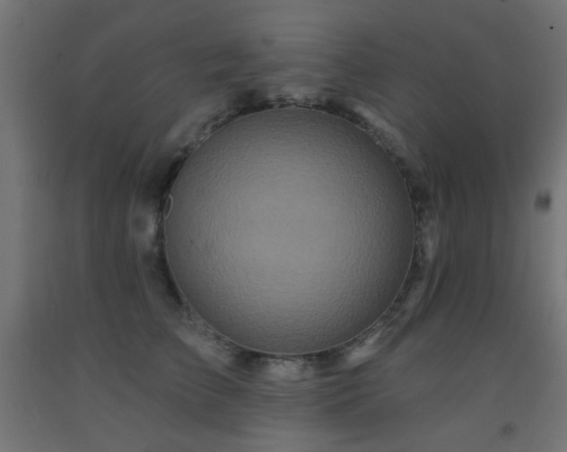 X0000093140709200709261425