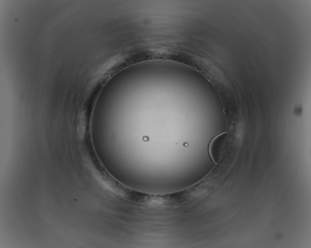 X0000093140710200709261424