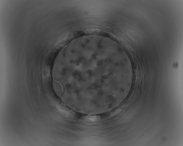 X0000093140711200709261424