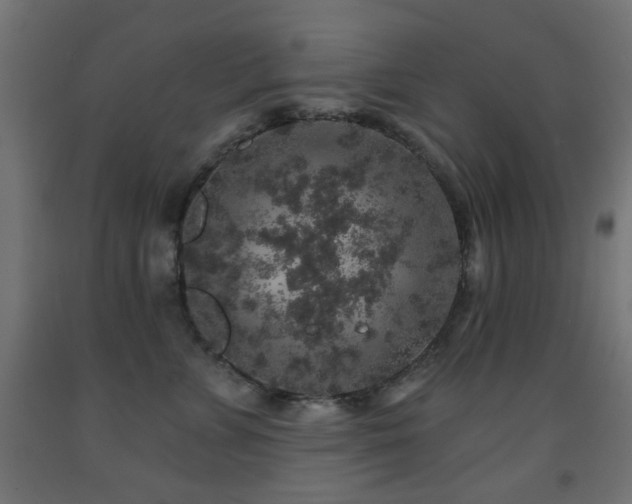 X0000093140715200709261424