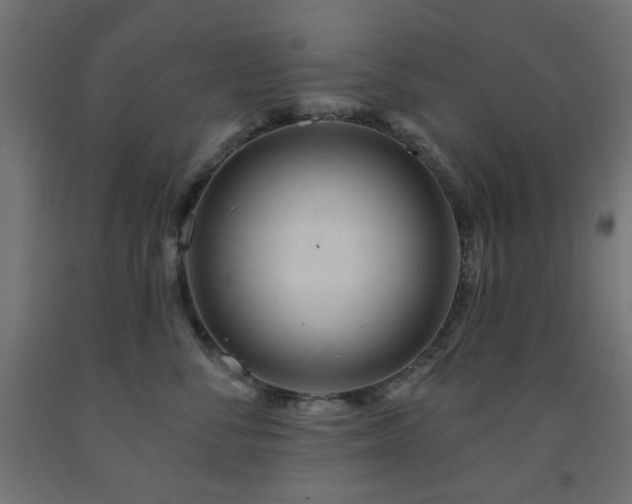 X0000093140716200709261424