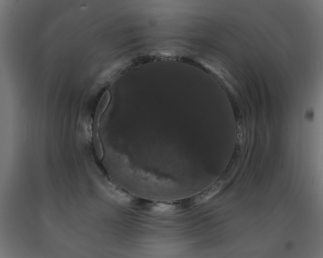 X0000093140718200709261424
