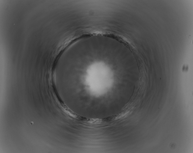 X0000093140720200709261424