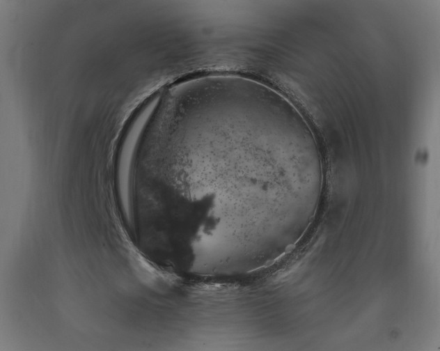 X0000093140721200709261424