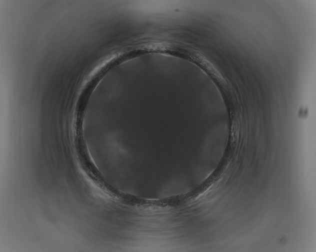 X0000093140722200709261424