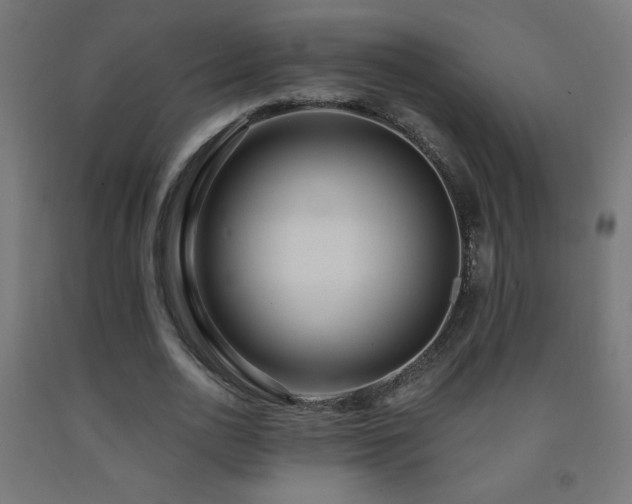 X0000093140726200709261424