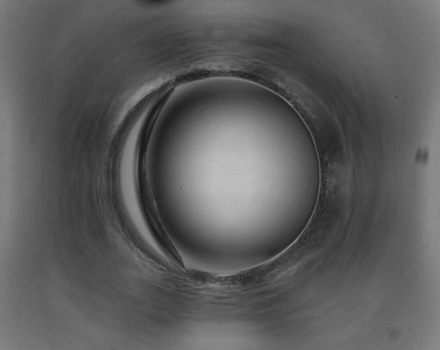 X0000093140727200709261424
