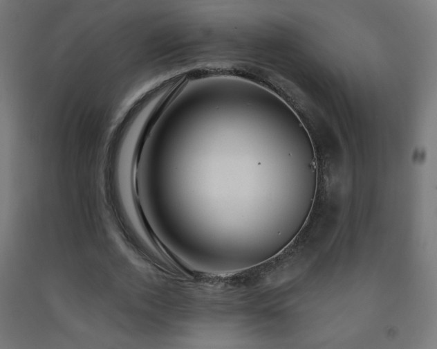 X0000093140728200709261424