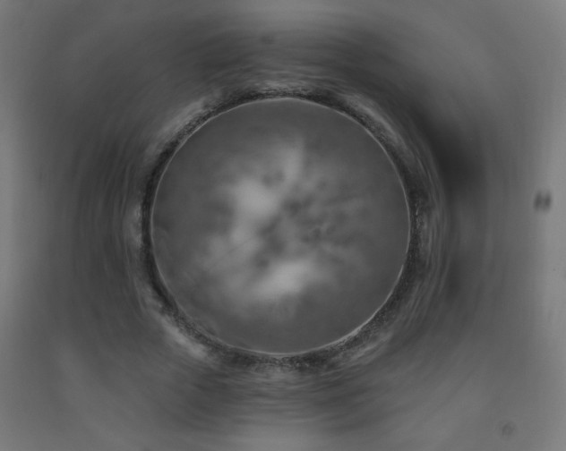X0000093140729200709261424