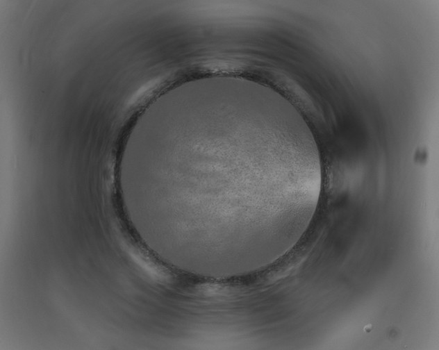 X0000093140733200709261424